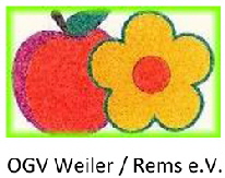 OGV Weiler  Rems
